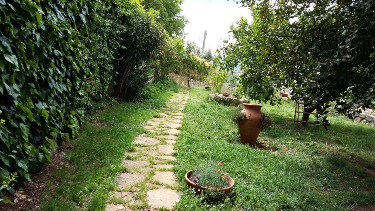 B&B La Vecchia Scuola Sonnino Exterior foto